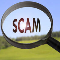 Scam Scam